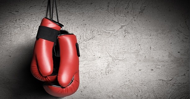 India make a comeback in world boxing series | Indian Tigers