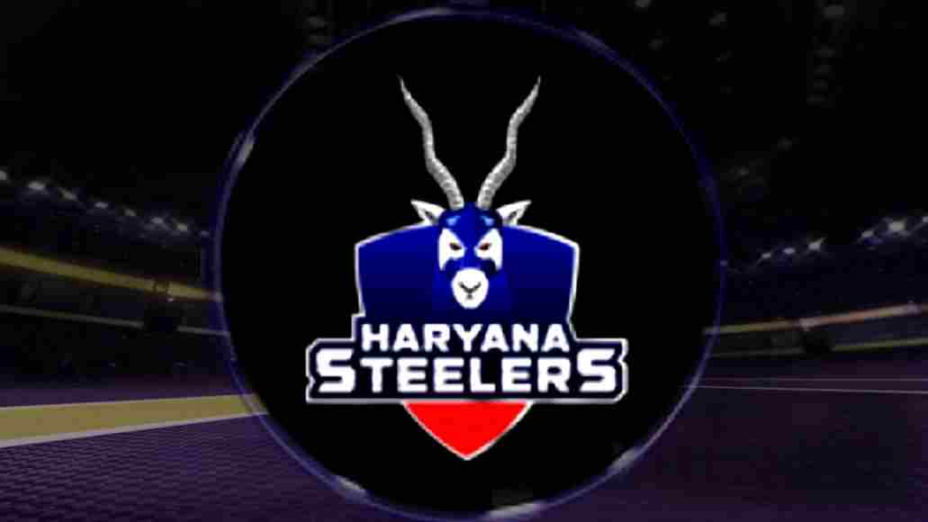 Haryana Steelers team for PKL 2018, Team owner, Coach, Home stadium