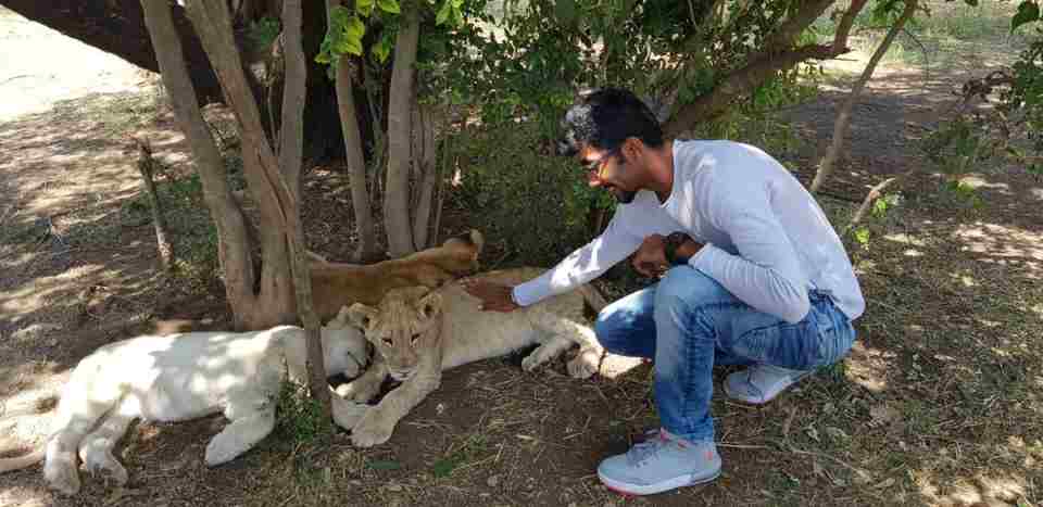 Indian cricketers African Safari