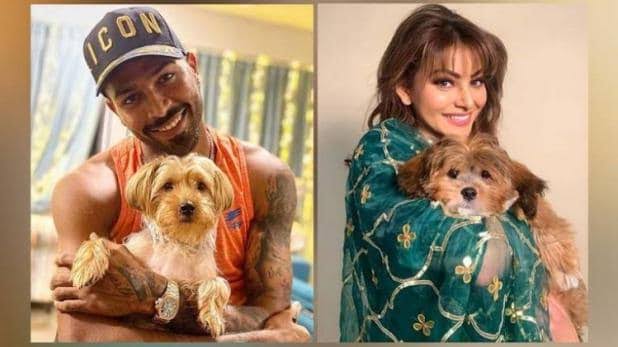 Hardik Pandya gifts a puppy to alleged girlfriend Urvashi Rautela