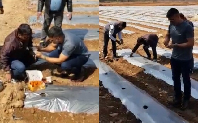 MS Dhoni turns farmer in Ranchi ahead of IPL 2020