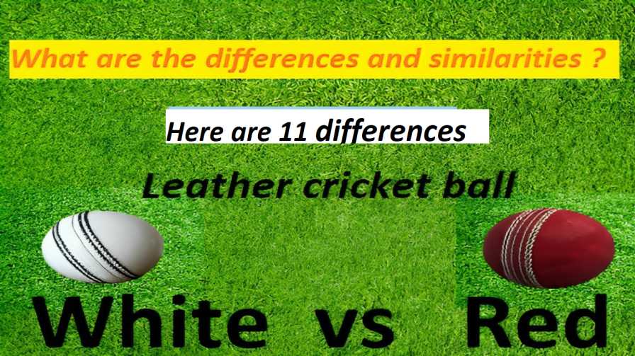 Red vs White leather ball: 11 differences between the two cricket ball